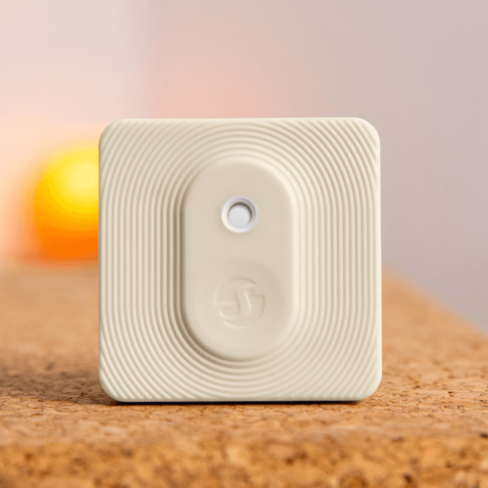 SH-WALL-DISPLAY-W-BLUHT-IVORY thumbnail 5