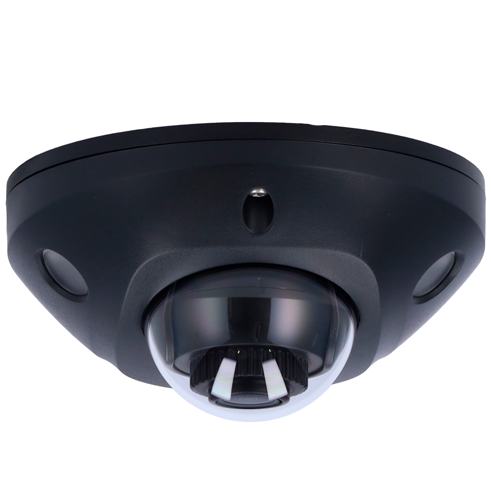 DS-2CD2543G2-IS(2.8mm)(BLACK)