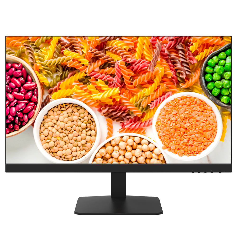 DS-D5024F2-1V2S